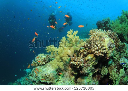 Coral Reef, Tropical Fish and couple of people scuba diving