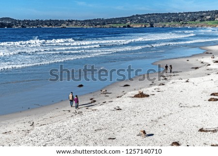 Dogs and their owners on the beach enjoying a walk in the sand Carmel Beach Monterey County California