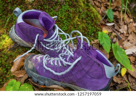 Violet trekking shoes on the nature. Nepal