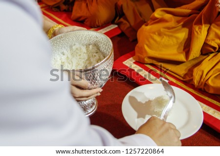 Offer Food to Monk Buddhist Culture in Thailand