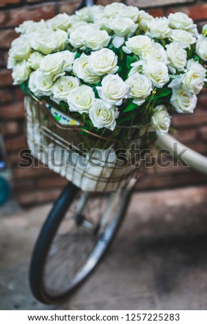 Bouquet of White Roses in a basket on a bike. Shallow depth of field.
