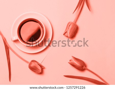 Flat lay of minimalistic picture of two cups of coffee and tulips colored in coral. Trendy color of the year 2019. Minimalism coffee concept.