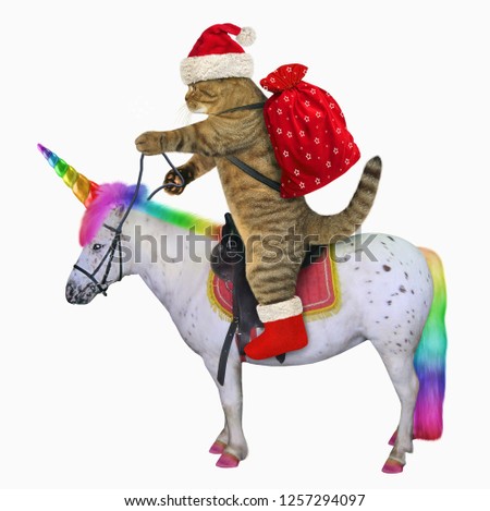 The cat in the Santa Claus outfit is riding the real unicorn. White background.