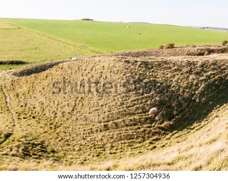maiden castle iron age old fortress landscape nature grassland animals space beauty natural sheep; Dorset; England; UK