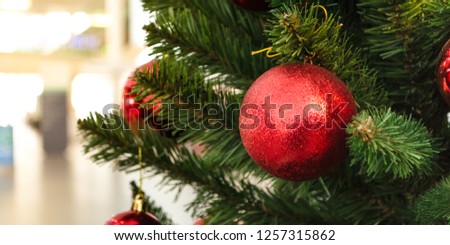 Christmas background red shiny ball on the green branch Christmas tree, New Year 2019, Christmas 2019, Selective Focus, Copy Space