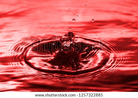 Water drop close up. Red water splash.