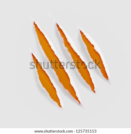 claws scratches on paper background Royalty-Free Stock Photo #125735153
