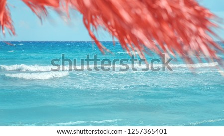 Living coral color of year 2019. seaside vacation or paradise travel destination concept, palm tree branch above turquoise sea water with copy space