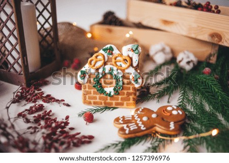 Christmas gingerbread. Cooking. toning