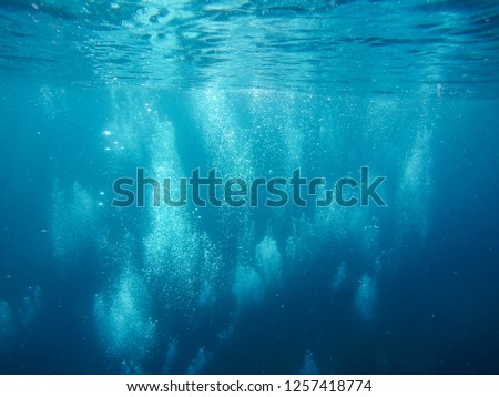 Air bubbles underwater rising to water surface, Caribbean sea Martinique island