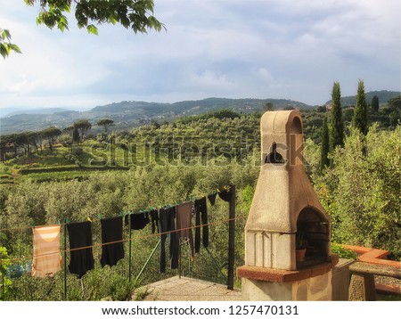 Washing day in Tuscany. Image taken from a vineyard near Vinci                        