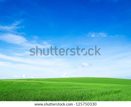 field on a background of the blue sky Royalty-Free Stock Photo #125750330