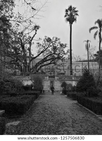 A photo of the university of Coimbra Botanical Garden in Black and White after a storm in the autumn