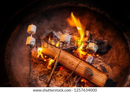 Marshmallow baked in the camping