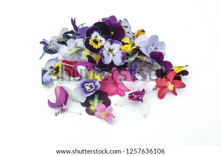 Comestible flowers and plants for restaurants Royalty-Free Stock Photo #1257636106