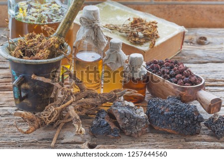 Medicinal herbs, roots, chaga, hawthorn, herbal extracts and a book on medicinal plants.