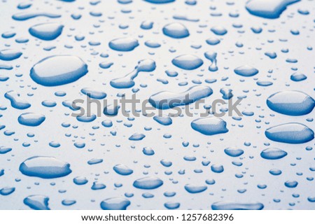 summer rain, drops of water on the car paint. a small round or pear-shaped portion of liquid that hangs or falls or adheres to a surface.