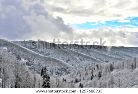 Mountains in the Sovata area - Romania in winter