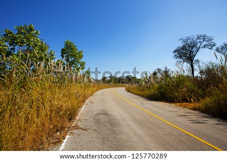 road, long street make road in forest