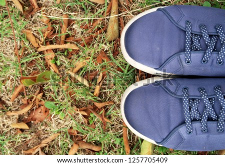A pair of  blue walking sneakers shoes on the grass background with space at the left.