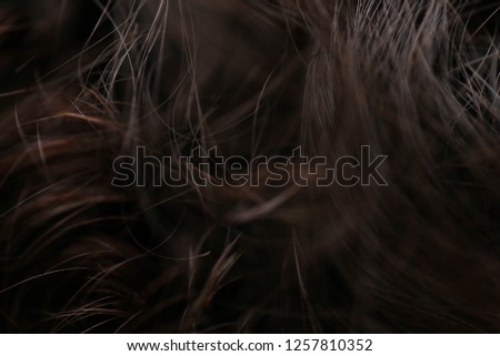 selective focus on structure of hair. partially blur and dark area. suitable to make background.