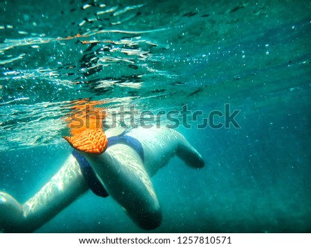 Fat big man swimming under water into the sea. Nature picture