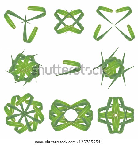 
Logo design using grass leaves isolated.Take a picture and then arrange it into a logo.This has clipping path.