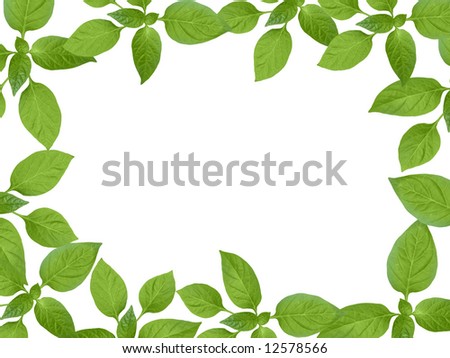 Green plant frame, young leaf border
