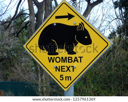 Square yellow sign on a post "Wombat next 5m" against dense vegetation in winter. 