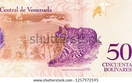 Leopard or Tiger, Lighthouse. Portrait from Venezuela 50 Bolivares 2018 Banknotes.