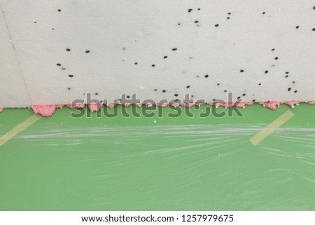 Indoor house renovation, closeup of styrofoam insulation at ceiling