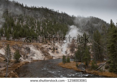 Steam rises over the geysers, Yellowstone National Park
