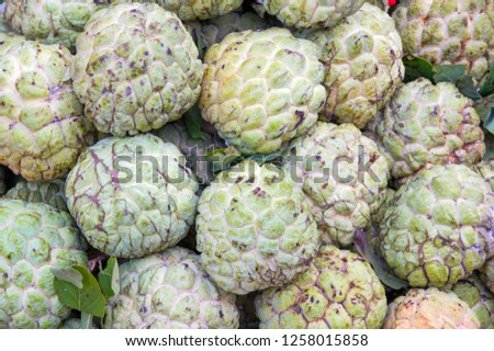 background are sweetsop, custard apple and sugar apple fruits