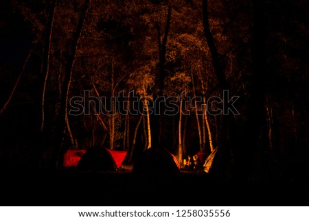 Night forest camp, lightened by a campfire