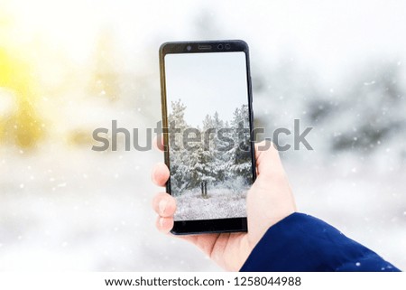 tourist takes pictures on the phone winter forest, Hiking in the winter forest, winter nature, frosty day