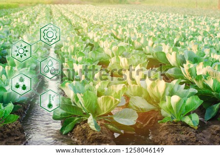 High technologies and innovations in agro-industry. Study quality of soil and crop. Profit and investment growth. Implementation of technological solutions.