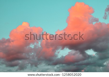 Air clouds of coral live color on the blue sky at sunset. background trends 2019