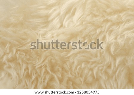 White animal wool texture background. Beige tint natural wool. Close-up texture of  plush fluffy fur