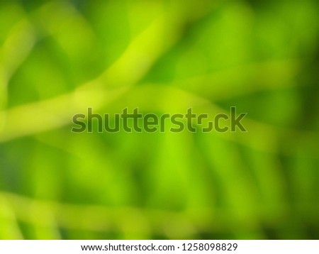 Abstract out of focus lights coming from the mother nature with abstract background of a green leaf. Abstract background of Green and yellow color. 