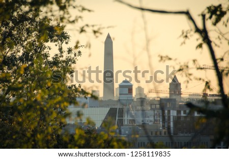 A landscape scene of the  Washington Monument in Washington, DC with a watertower and woods in the foreground. 
