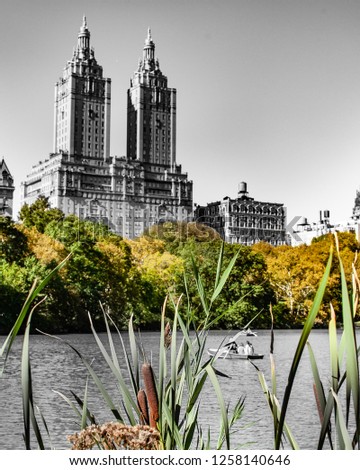 Nature with black and white skyline in New York City Central Park
