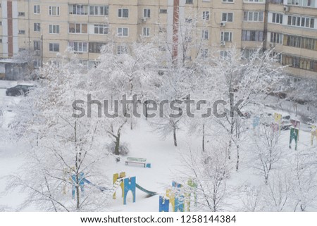 trees in the snow on the playground