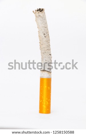 The cigarette isolated on a white background 