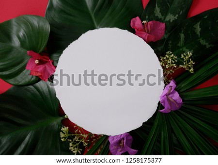 Mock-up white paper with space for text or picture on red background and tropical leaves and flowers