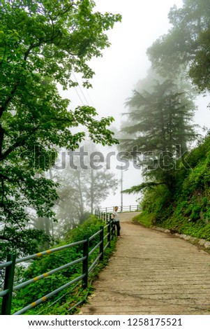 A misty serpentine road in the mountain, Landour, Mussoorie, India