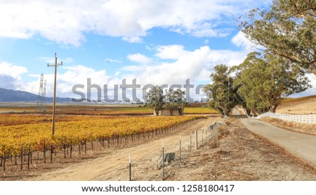Fall Foliage, Autumn Landscape in Wine Country, Northern California