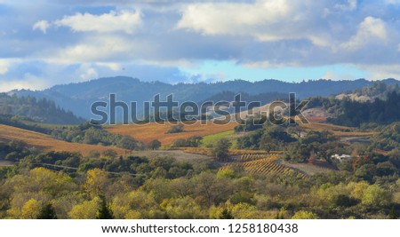 Fall Foliage, Autumn Landscape in Wine Country, Northern California