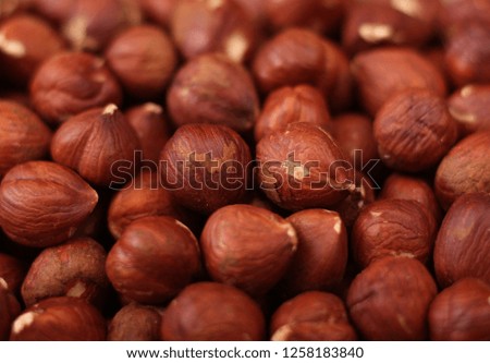Turkish coarse and delicious hazelnuts