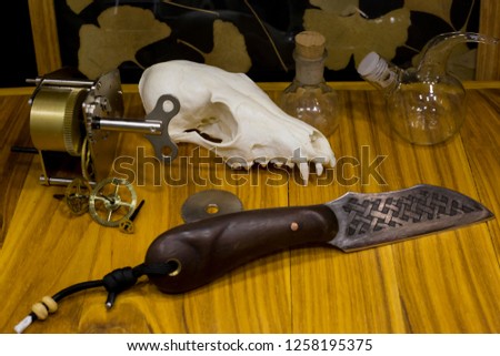 Still life in medieval style on a wooden table with a fox skull, an old knife, a mechanism, gears and glass jars with Ginkgo Biloba leaves in the background