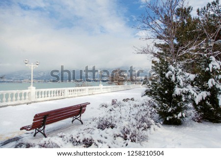 bench overlooking Gelendzhik Bay